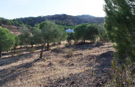 Monte Das Ferrarias - Foto 44