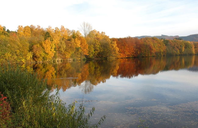 Holiday Home in Mielinghausen Near ski Area - Foto 35