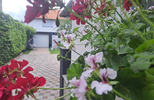 Apartman Pariz - Photo 38