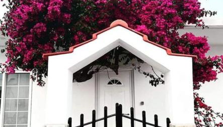 Annika's Summer Dream - Foto 2