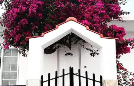 Annika's Summer Dream - Foto 2