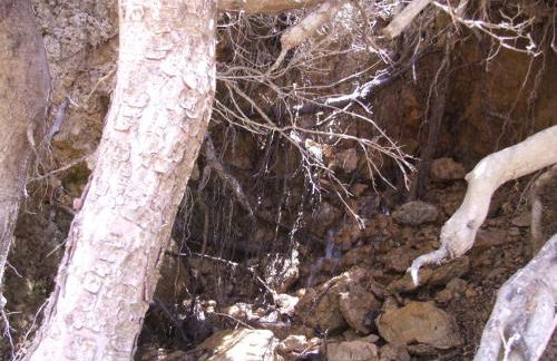 Casas Rurales Venta Ticiano - Foto 36