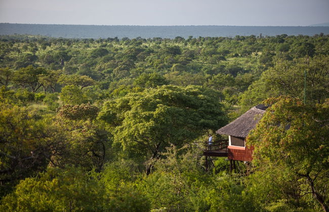 Elewana Tarangire Treetops - Foto 25