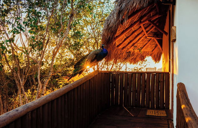 Palm Valley Cabins - Foto 72