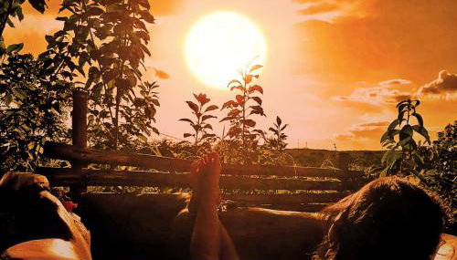 BioChalé Buena Vista - Foto 2