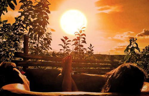 BioChalé Buena Vista - Foto 2