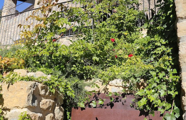 Mas Campassol - Foto 34