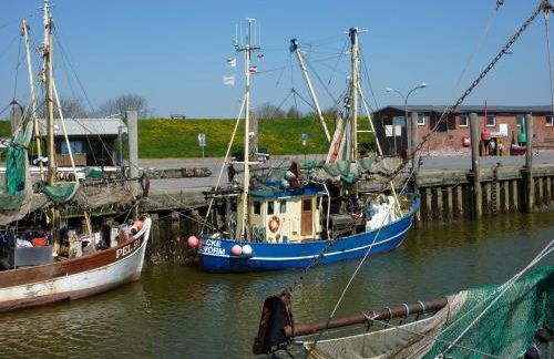 Atlanta Pur - Foto 17