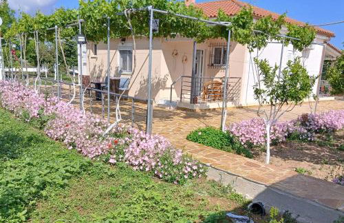 Vasiliki's Apartments - Foto 29