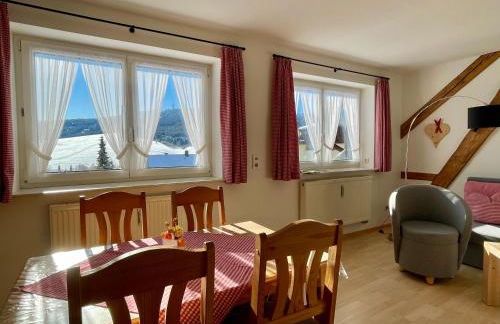 Appartements Gahler - Kurort Oberwiesenthal - Foto 19
