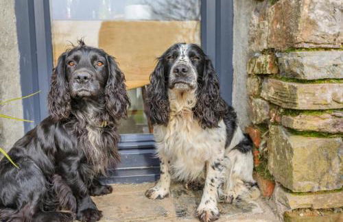 1 Bed in Wellington oc-g35157 - Photo 13