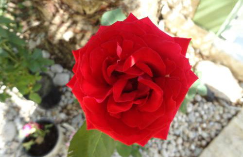 Phoenix Studios by Tania - Foto 6