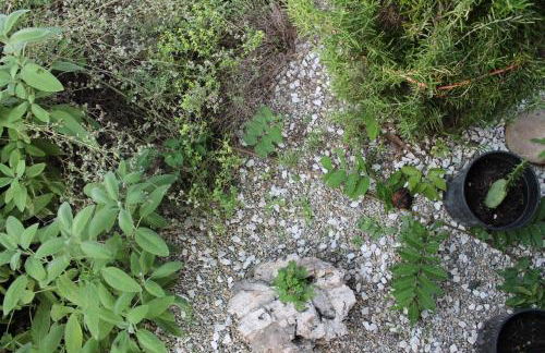 Cascina G appartamento tra i noccioli - Foto 33