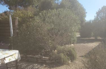 Maison Salamandre - Foto 17