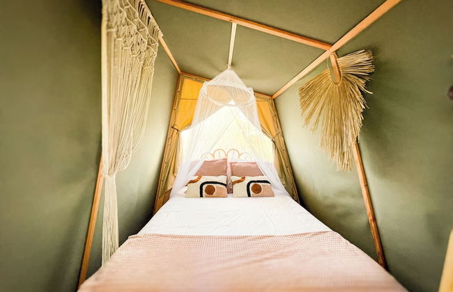 Les Etangs de la Bassée - Foto 23