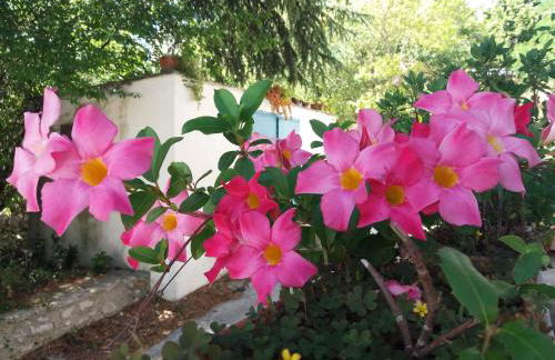 Trulli di Puglia - Casa vacanze in Valle d'Itria - Foto 46