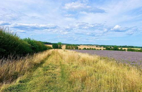 River House - Foto 17