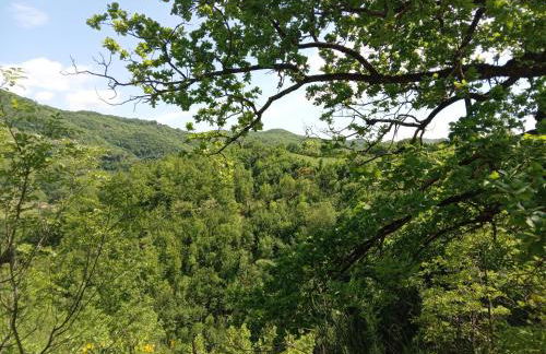 Casa Biron - Foto 20