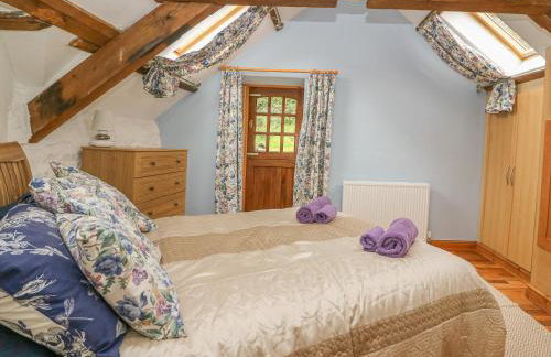 Felin Iago - Foto 16