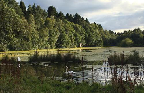 Distillery Apartment 1 - Photo 10