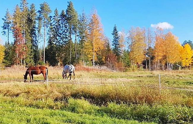 8 Person Holiday Home in Burea-by Traum - Foto 1