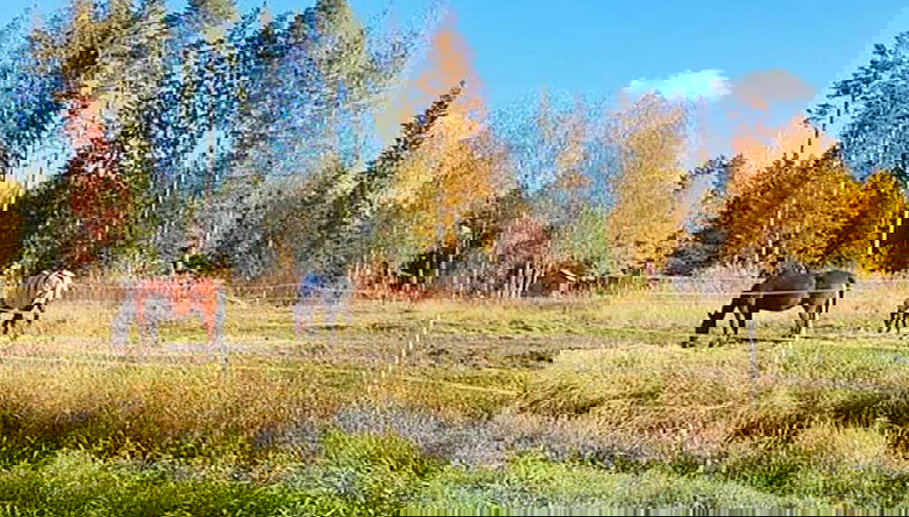 8 Person Holiday Home in Burea-by Traum - Foto 1, Imagen principal