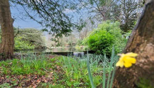 The Loft at Goytre Hall - Foto 3