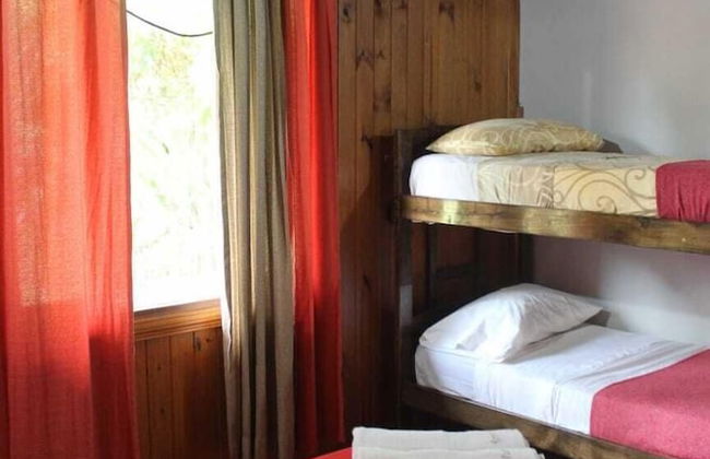 Raices Pampeanas - Foto 5