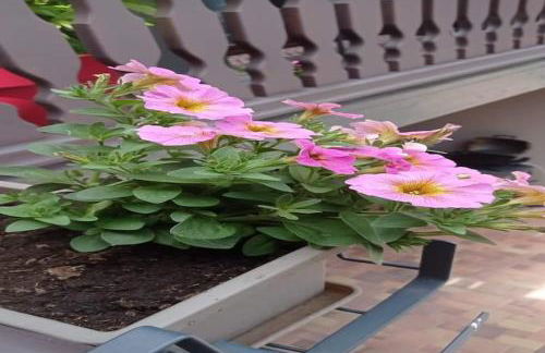 Apartment in Alsace near Haut-Koenigsbourg - Foto 37