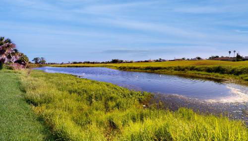 The Palm House - Foto 3