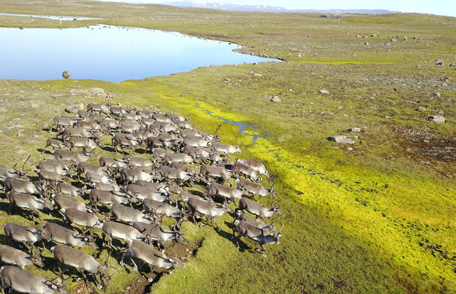 Lindarbrekka - Foto 37