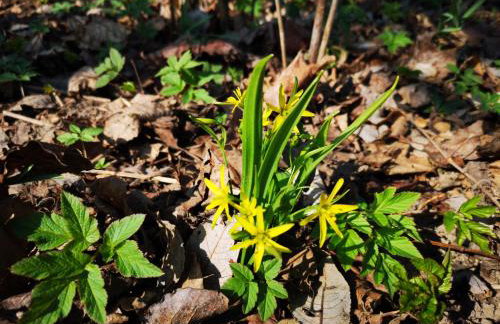 Mazurski Staw - Foto 25