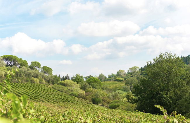 Peaceful Apartment, Ghizzano - Foto 35