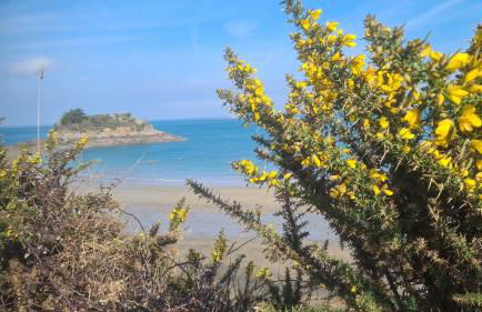 Studio proche de la mer - Foto 11