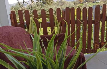 Chania Mini Villas - Photo 23