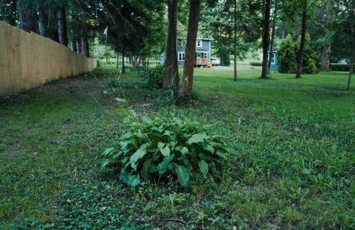 Creekside Cottage at Saegertown - Foto 78