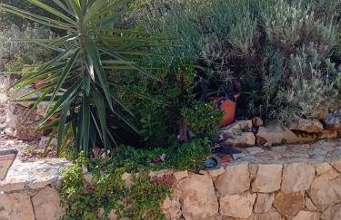 Kuća za odmor Maruška - Foto 23