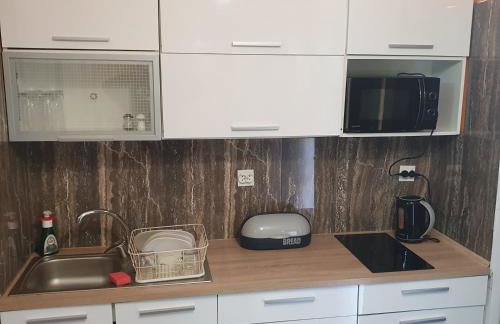 Apartamenty Dzika Orlica - Foto 38