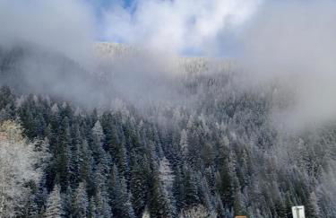 Magnifique studio au pied du télécabine d'Arrondaz et des pistes de ski - Foto 27