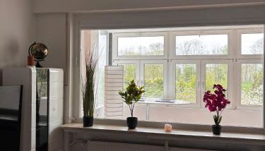 Schöne Wohnung am Dümmersee - Foto 5