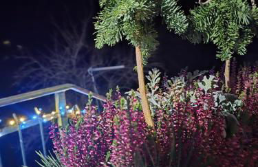 Al Belvedere sul Piave - Foto 24