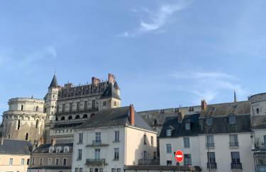 Vue incroyable Loire et Chateau - Foto 40