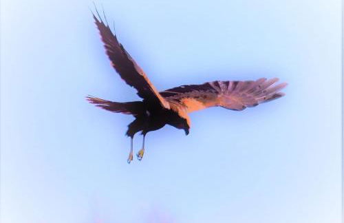 CozyHome - Cabanas - Photo 17