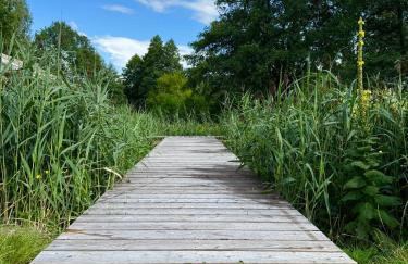 Domy nad Strugą - jacuzzi, las, wieś, rowery, kajaki - Foto 5