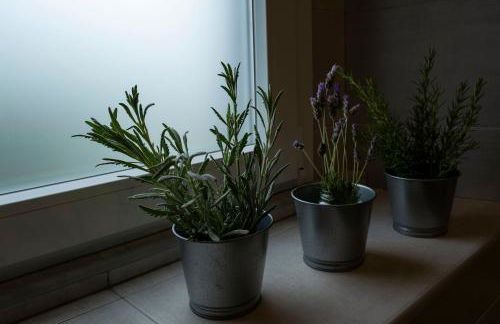 Casa da Quinta - Photo 64