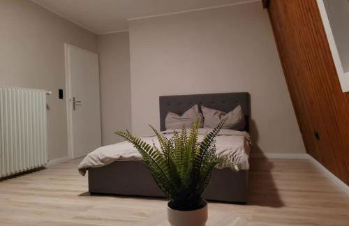 Willi's Moselschlösschen - Foto 28