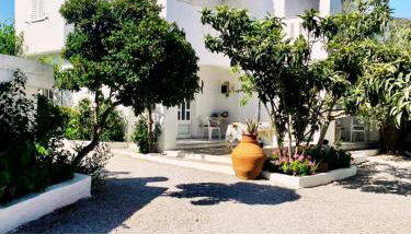 White Oasis Samos-Retreat - Foto 1