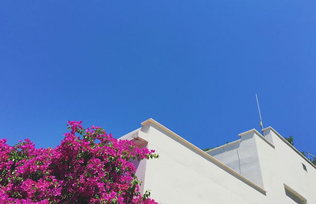 Masseria Macchia & Relais San Pio - Foto 46