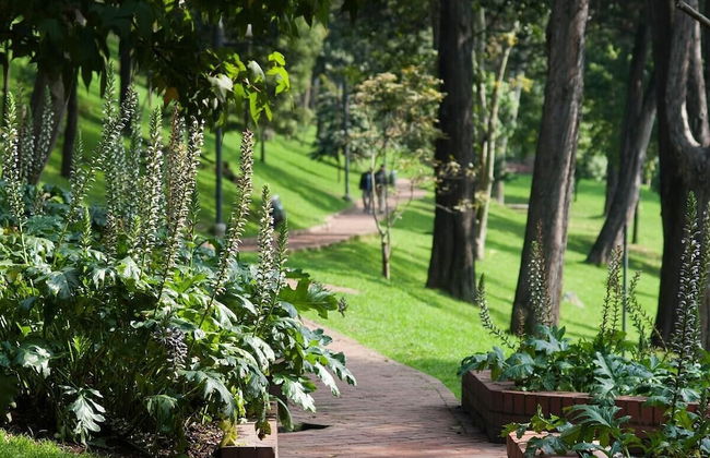 Area 97 Condos by Vesper - Foto 39