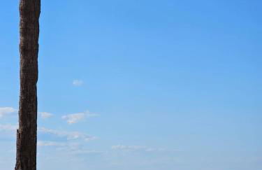 Apartamento frente al mar - Foto 7